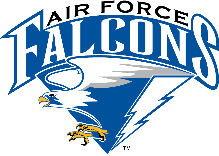 Air Force Falcons 1995-2003 Primary Logo iron on transfers for fabric